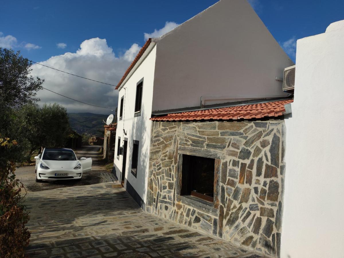 Pomar Das Oliveiras - Private Swimming Pool - Free Ev Chrg - Pet Friendly Carvalhal  المظهر الخارجي الصورة